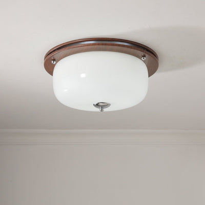 Vetheel Premium Nordic Art Dome Glass Ceiling Light