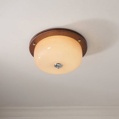 Vetheel Premium Nordic Art Dome Glass Ceiling Light