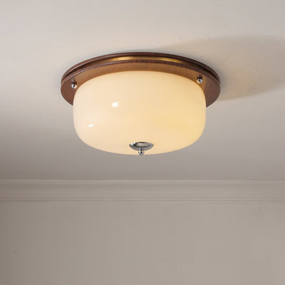 Vetheel Premium Nordic Art Dome Glass Ceiling Light