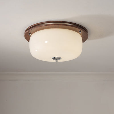Vetheel Premium Nordic Art Dome Glass Ceiling Light