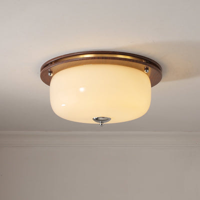 Vetheel Premium Nordic Art Dome Glass Ceiling Light