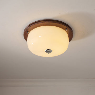 Vetheel Premium Nordic Art Dome Glass Ceiling Light