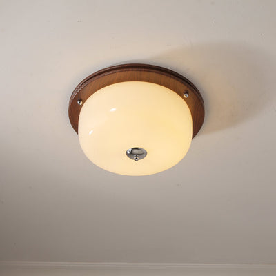 Vetheel Premium Nordic Art Dome Glass Ceiling Light