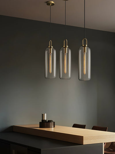 Sevelo Pendant Lamp Frosted Glass Swag Adjustable