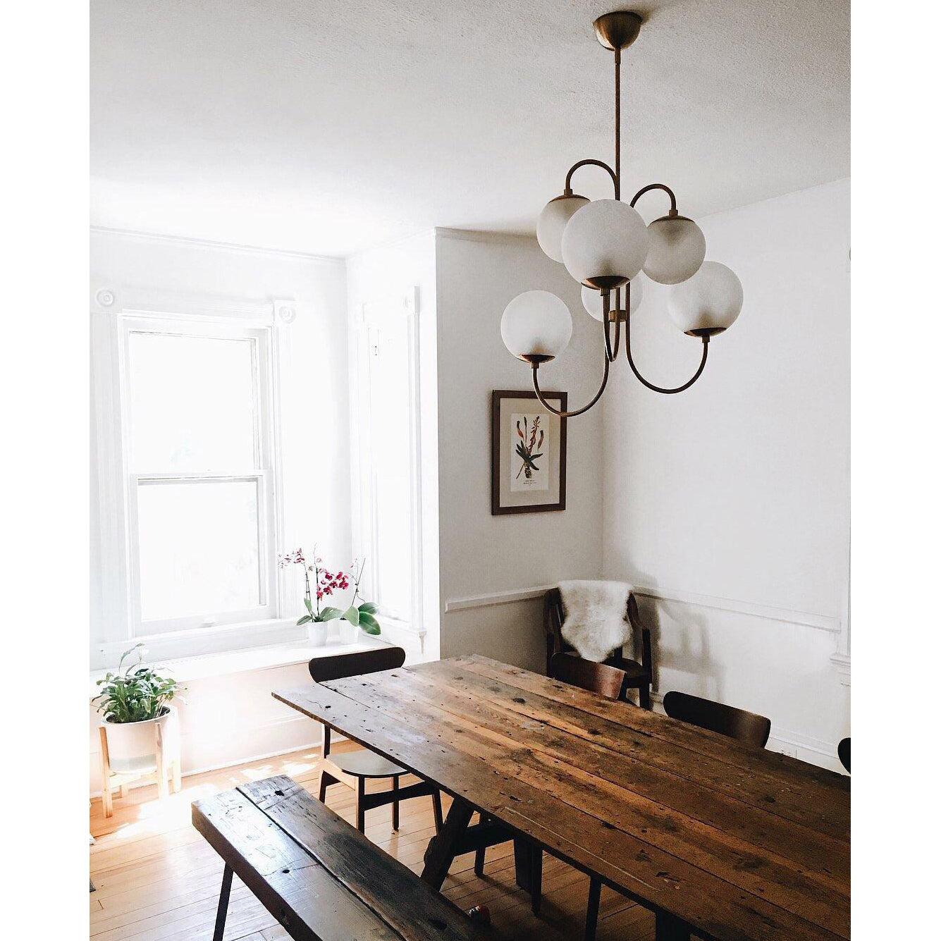 Lumenine Chandelier