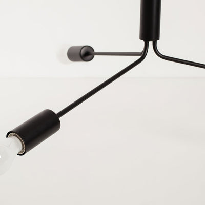 Nororaria Chandelier