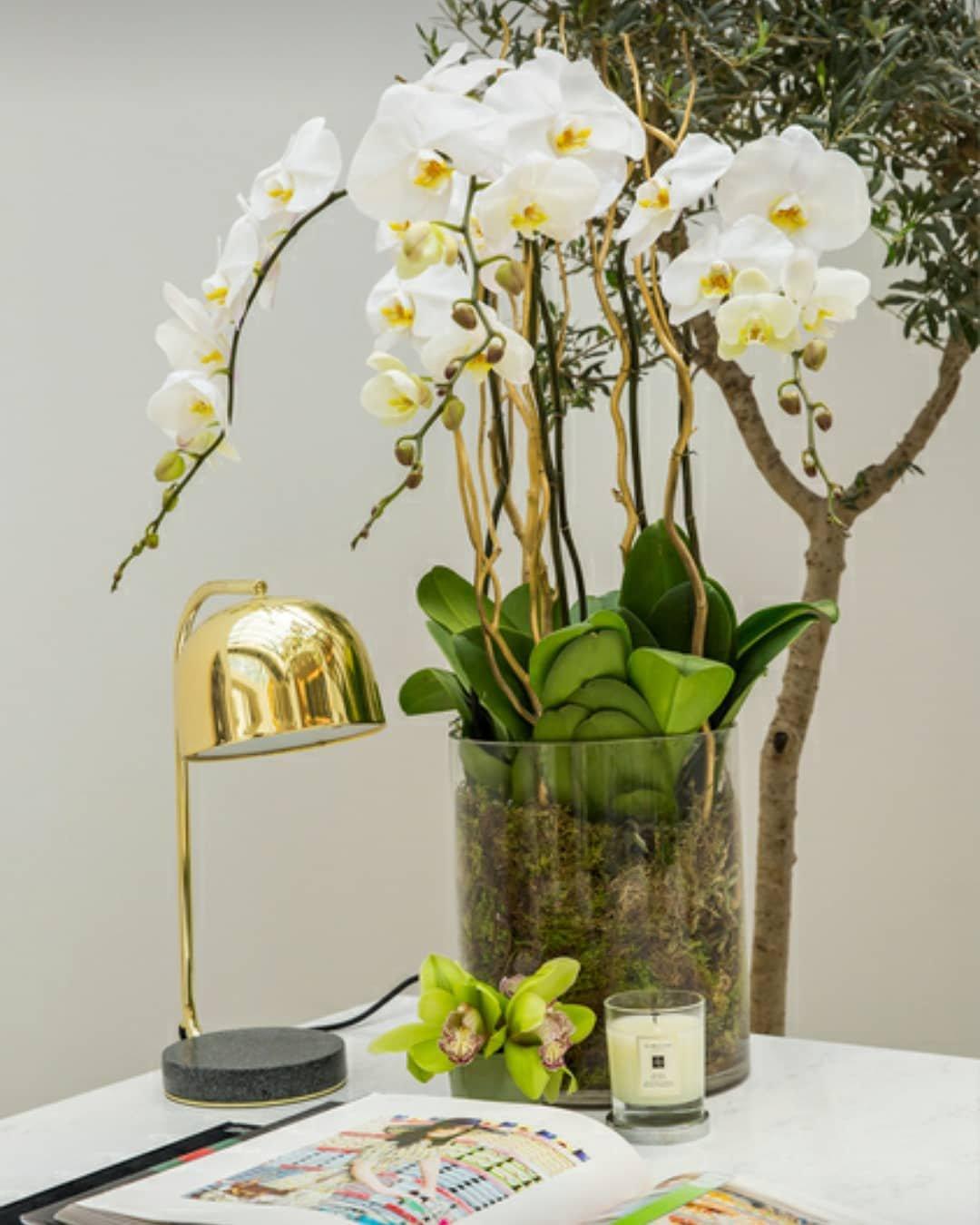 Noroora Minimalist Table Lamp