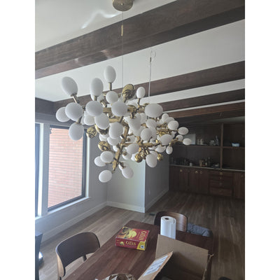 Lioraaria Glass Chandelier
