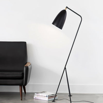 Mireleria Minimalist Floor Lamp