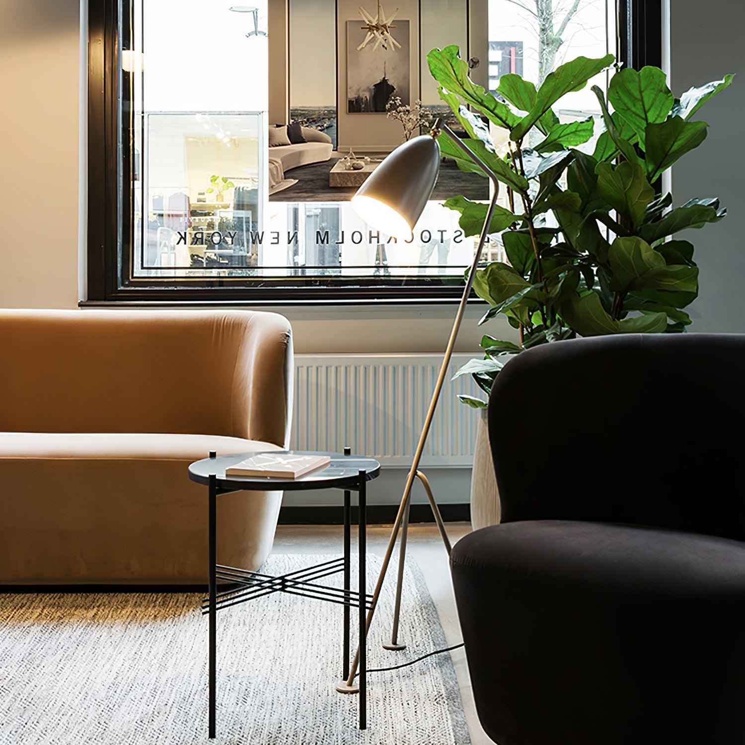 Mireleria Minimalist Floor Lamp