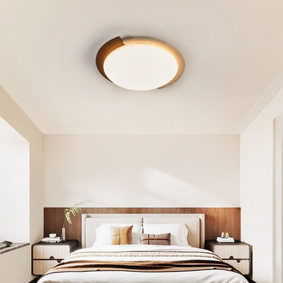 Darsier Terra Ceiling Light