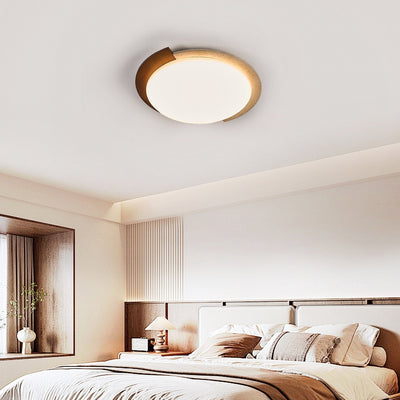 Darsier Terra Ceiling Light