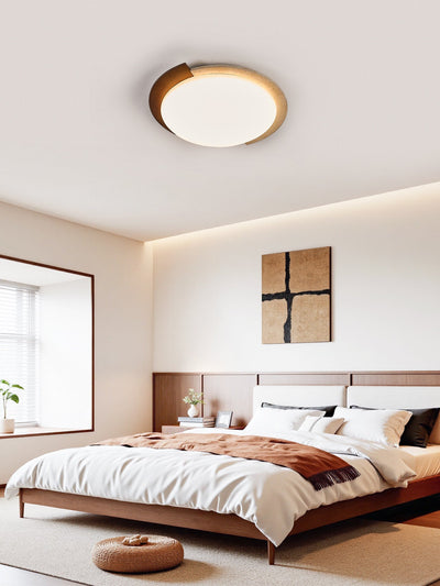 Darsier Terra Ceiling Light