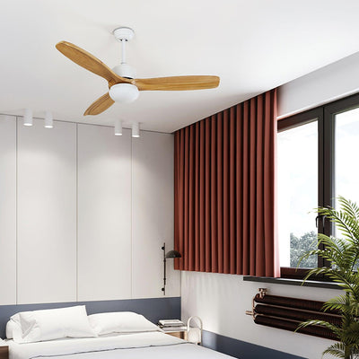 Norirora Elegance Natural Ceiling Fan Light
