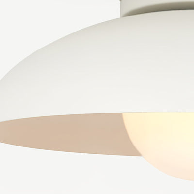 Zontes Nordic Art Dome Glass Ceiling Lamp