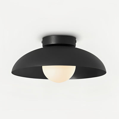 Zontes Nordic Art Dome Glass Ceiling Lamp