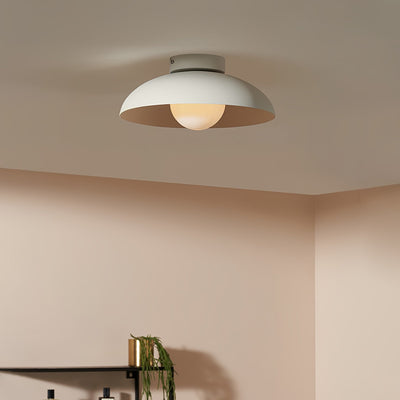 Zontes Nordic Art Dome Glass Ceiling Lamp