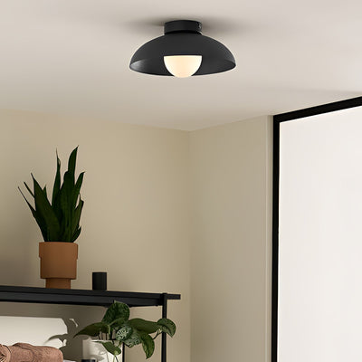 Zontes Nordic Art Dome Glass Ceiling Lamp
