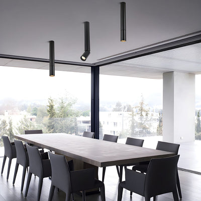 Elvynira Adjustable Surface Downlight Ceiling lamp