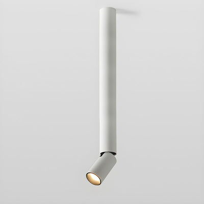 Elvynira Adjustable Surface Downlight Ceiling lamp