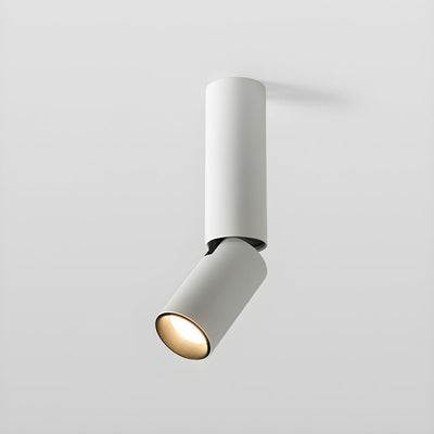 Elvynira Adjustable Surface Downlight Ceiling lamp