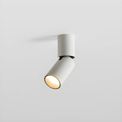 Elvynira Adjustable Surface Downlight Ceiling lamp