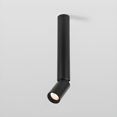 Elvynira Adjustable Surface Downlight Ceiling lamp
