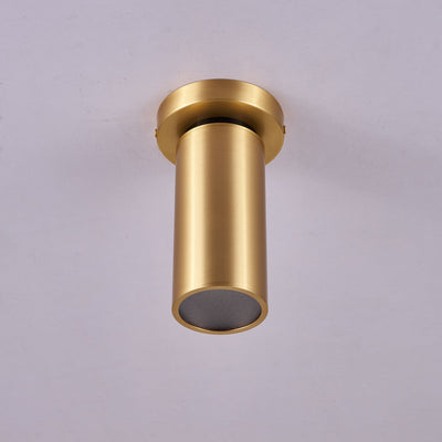 Syloran Modern Minimalist Brass Spot Light Ceiling lamp