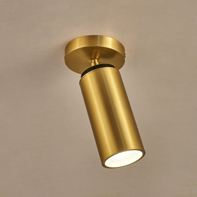 Syloran Modern Minimalist Brass Spot Light Ceiling lamp