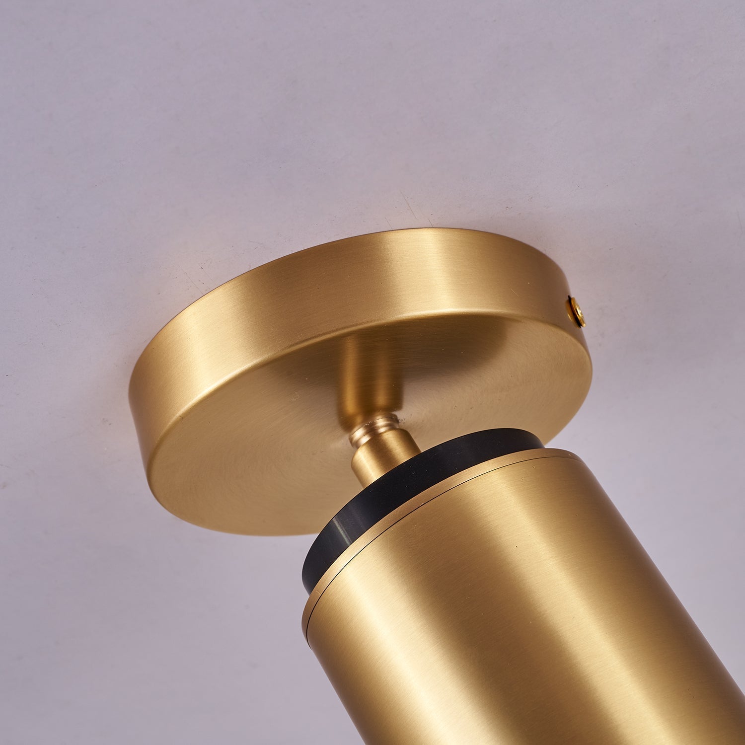 Syloran Modern Minimalist Brass Spot Light Ceiling lamp
