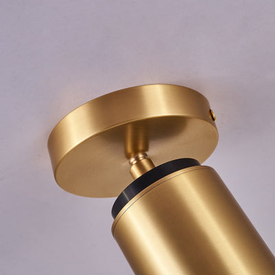 Syloran Modern Minimalist Brass Spot Light Ceiling lamp