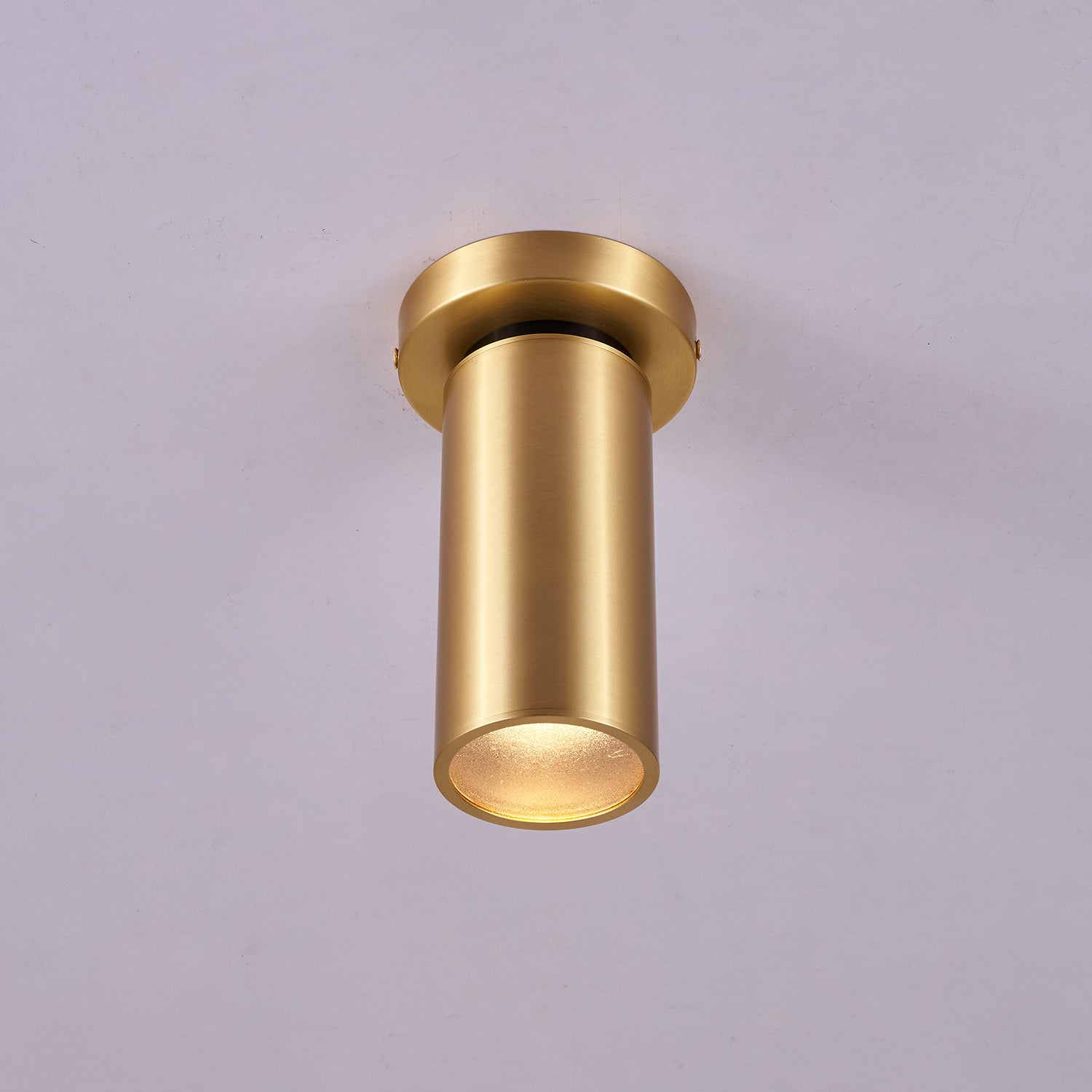 Syloran Modern Minimalist Brass Spot Light Ceiling lamp