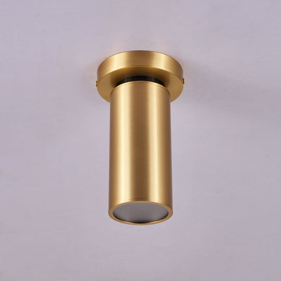 Syloran Modern Minimalist Brass Spot Light Ceiling lamp