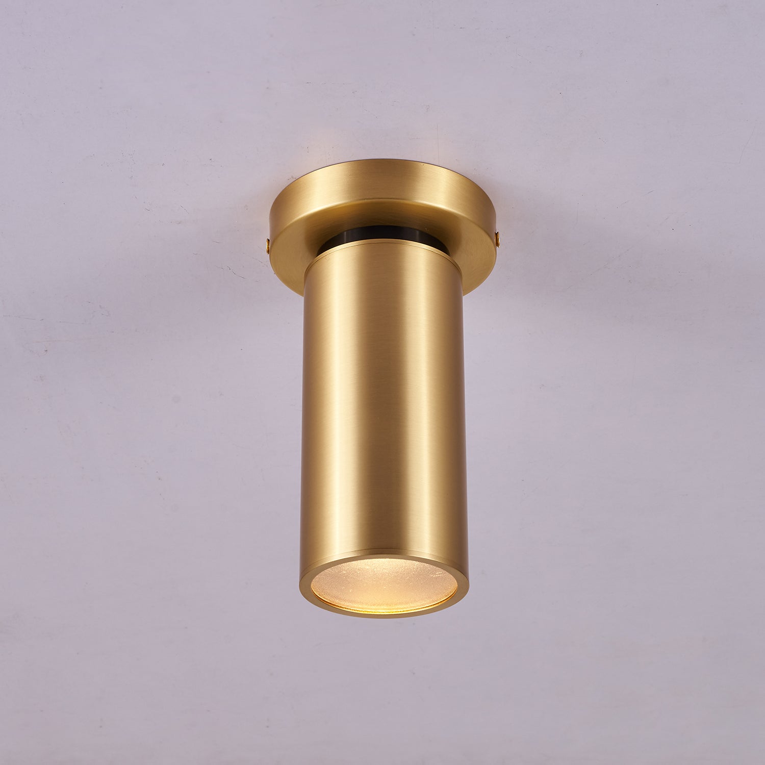 Syloran Modern Minimalist Brass Spot Light Ceiling lamp