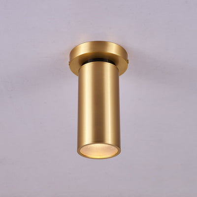 Syloran Modern Minimalist Brass Spot Light Ceiling lamp