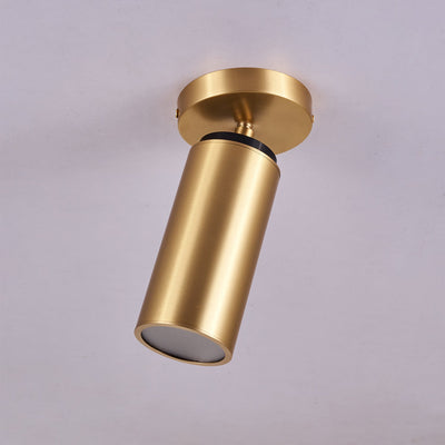 Syloran Modern Minimalist Brass Spot Light Ceiling lamp
