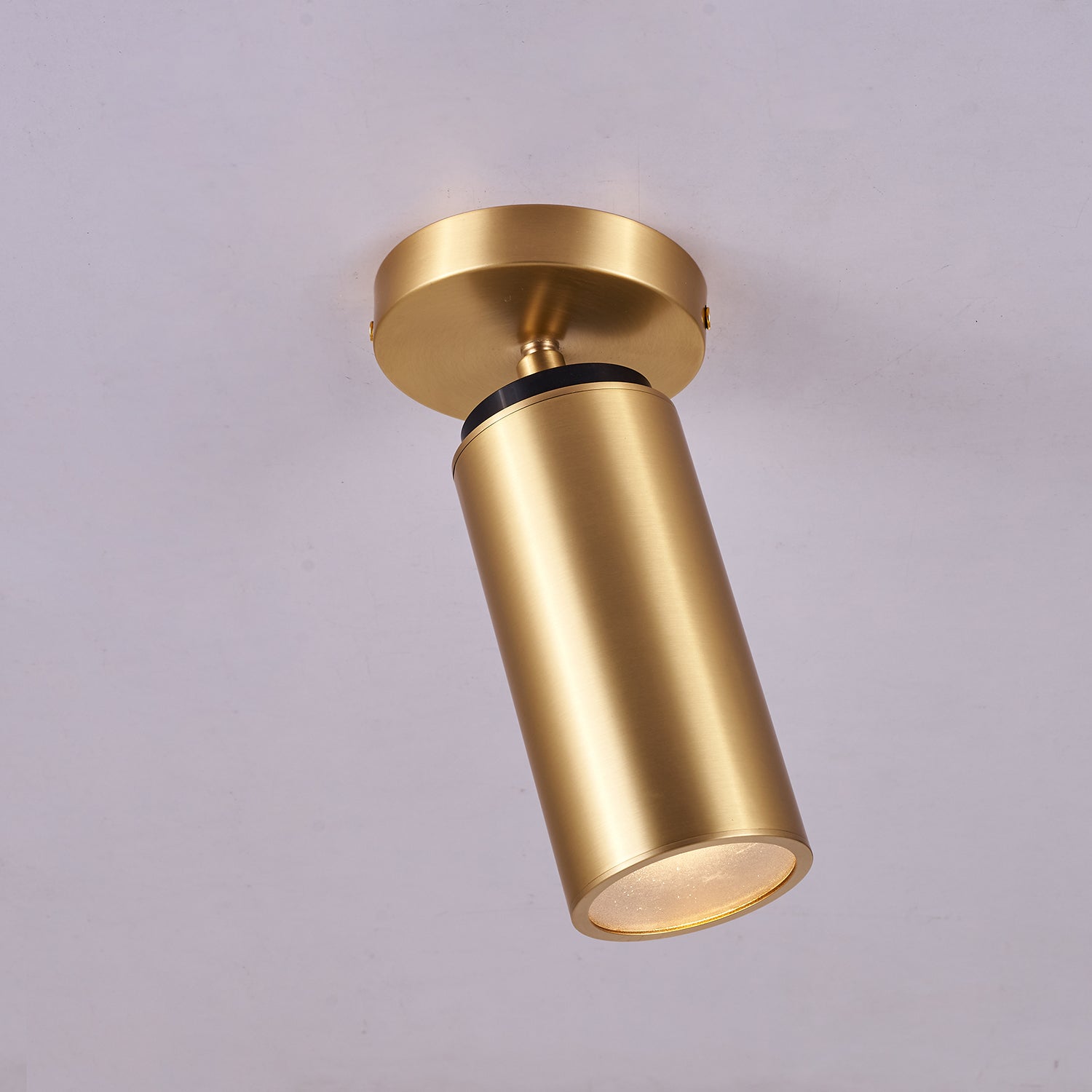 Syloran Modern Minimalist Brass Spot Light Ceiling lamp