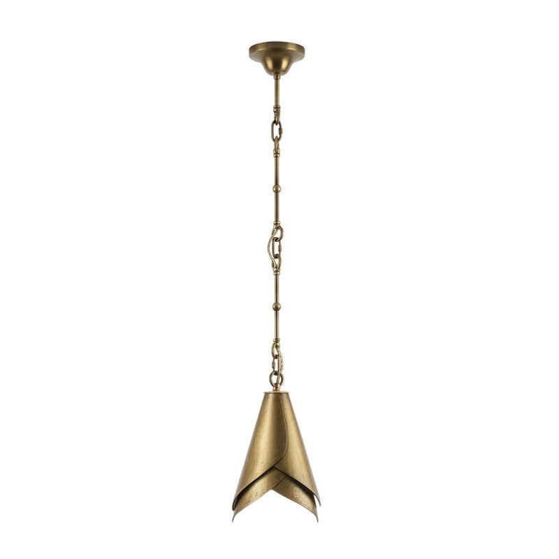 Ciririna Horse Hoof Piel Pendant Lamp