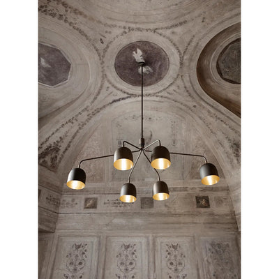 Seloaria Chandelier