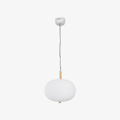 Duality Modern Glass Pendant Light