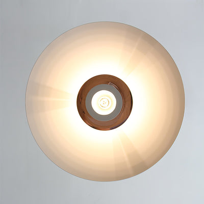 Feraaya Modern Aluminum Pendant Light