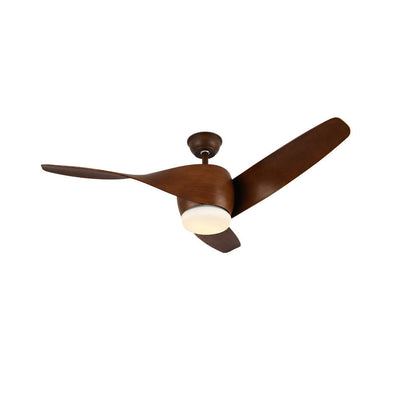 Liororeon Ceiling Fan Light