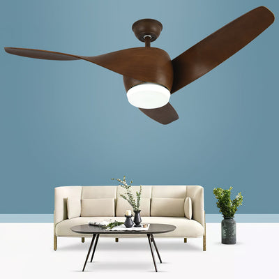 Liororeon Ceiling Fan Light