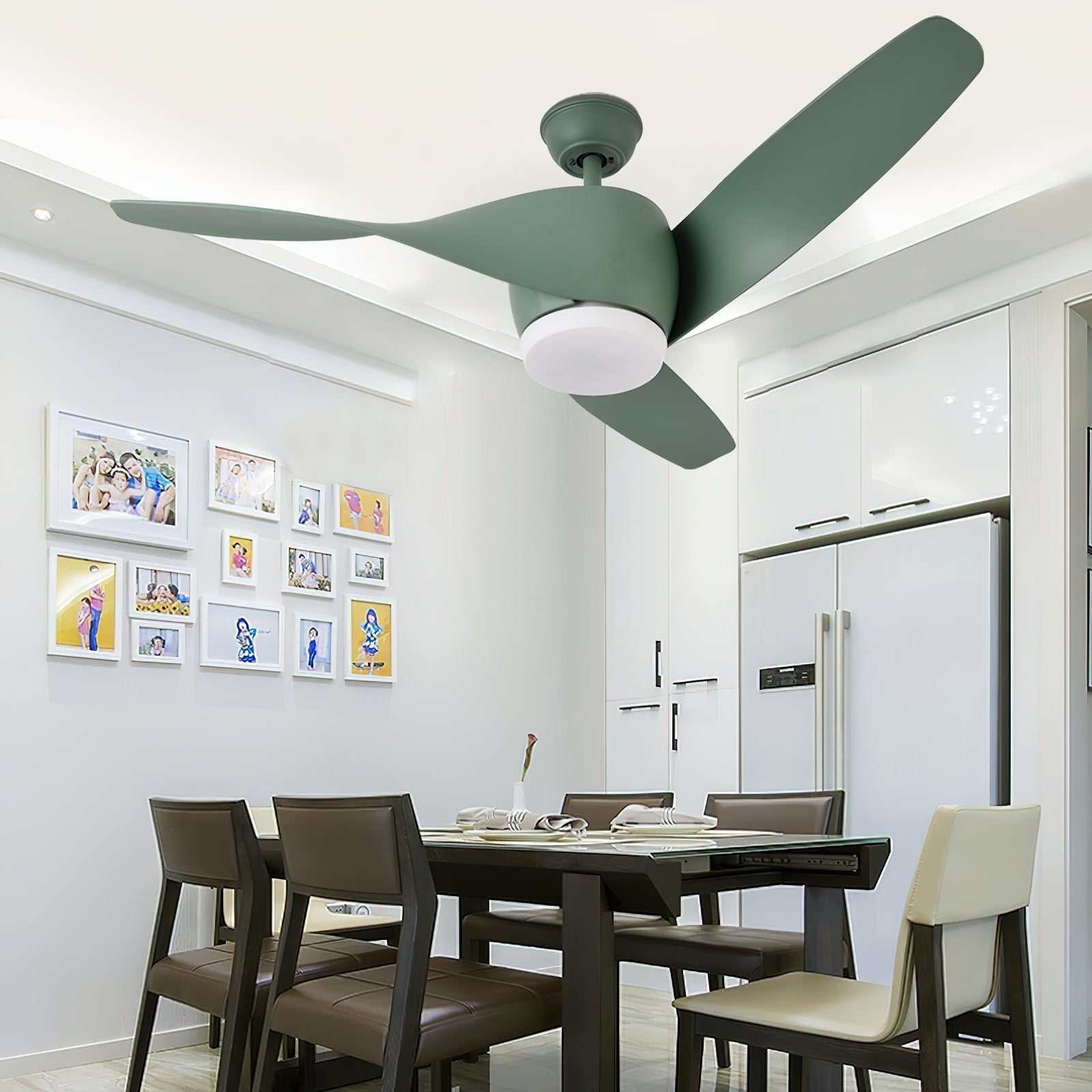 Liororeon Ceiling Fan Light
