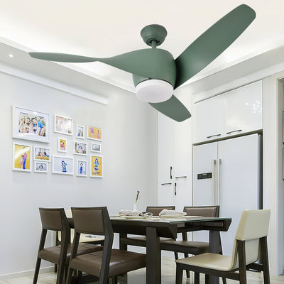 Liororeon Ceiling Fan Light