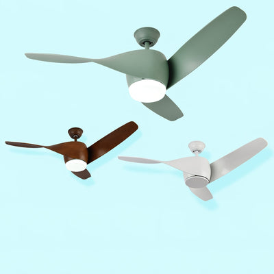 Liororeon Ceiling Fan Light