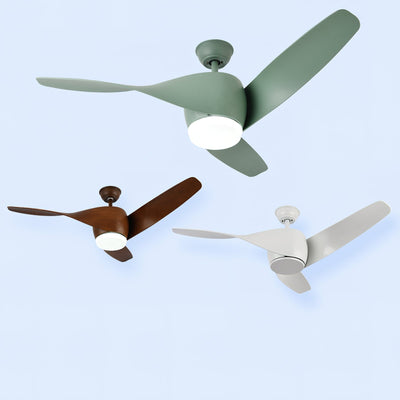 Liororeon Ceiling Fan Light