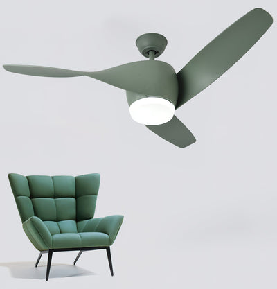 Liororeon Ceiling Fan Light