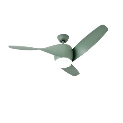 Liororeon Ceiling Fan Light