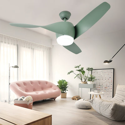 Liororeon Ceiling Fan Light